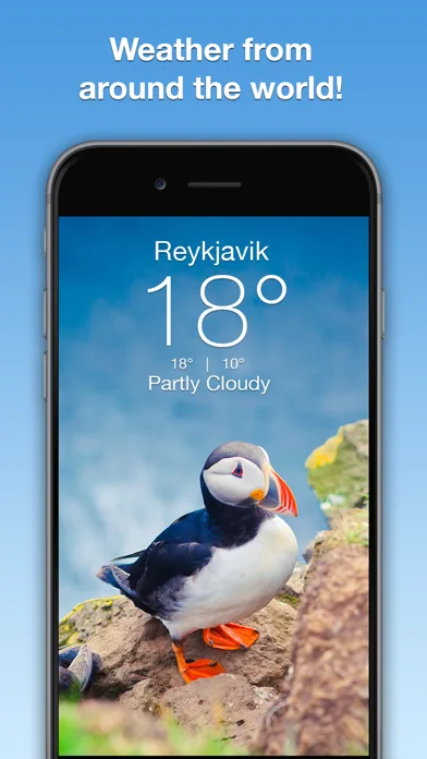 Wildlife Wallpaper Weather screenshot 5