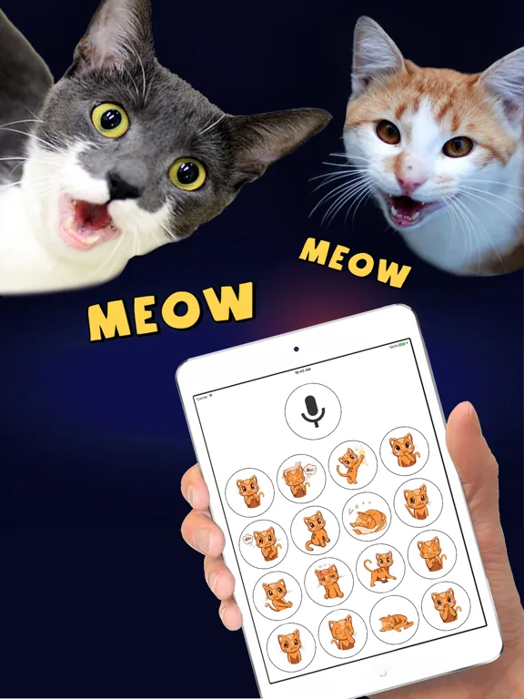 Human to Cat Translator screenshot 4