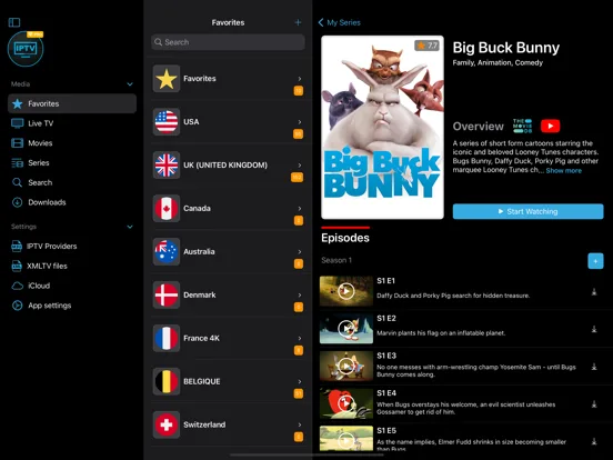 IPTV Streamer screenshot 3