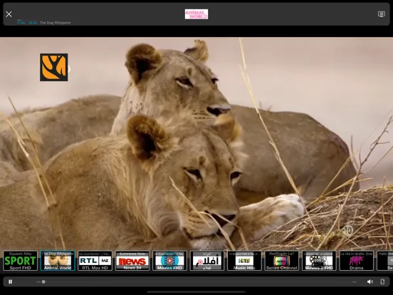 IPTV Streamer screenshot 4