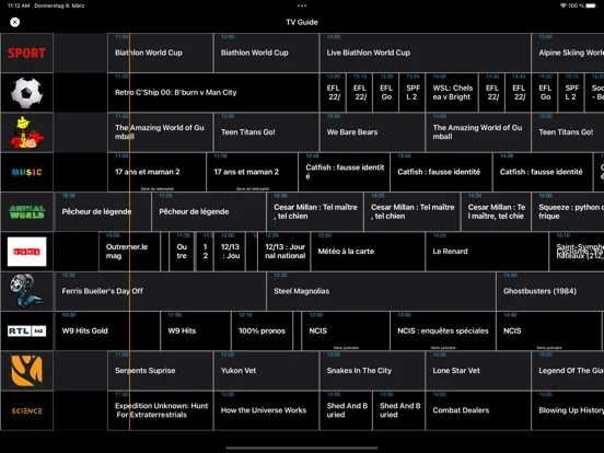 IPTV Streamer screenshot 5