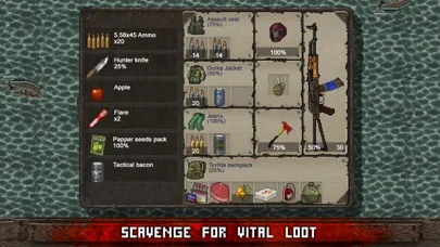 Mini DAYZ: Zombie Survival screenshot 4