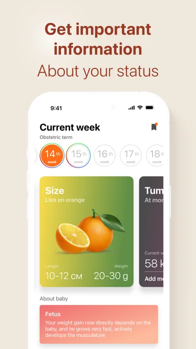 Storky - Pregnancy Tracker screenshot 2