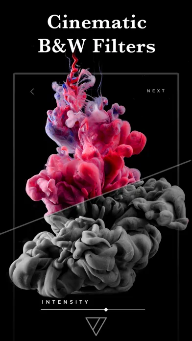 Carbon - B&W Filters & Effects screenshot 2