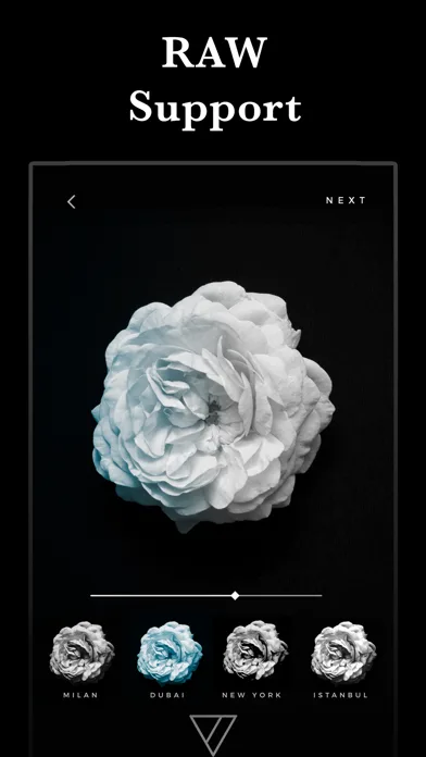 Carbon - B&W Filters & Effects screenshot 3