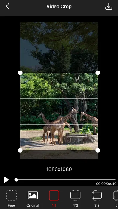 Video Crop - Resize Video screenshot 2