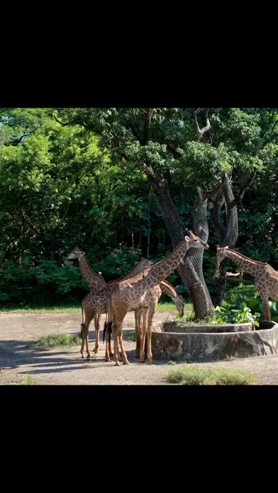 Video Crop - Resize Video screenshot 3