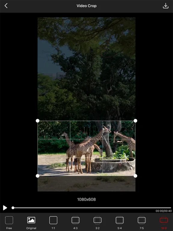 Video Crop - Resize Video screenshot 5