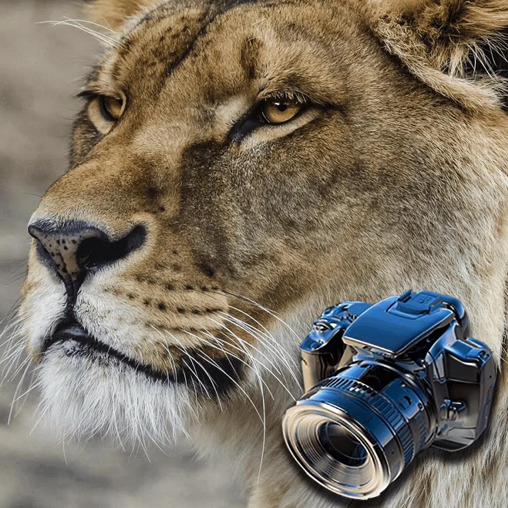 Hidden Animals: Seek and Find