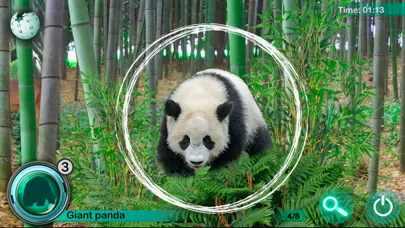 Hidden Animals: Seek and Find screenshot 2