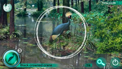 Hidden Animals: Seek and Find screenshot 4