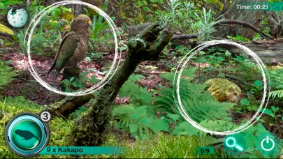 Hidden Animals: Seek and Find screenshot 5