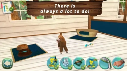 Pet World - My Animal Hotel screenshot 2