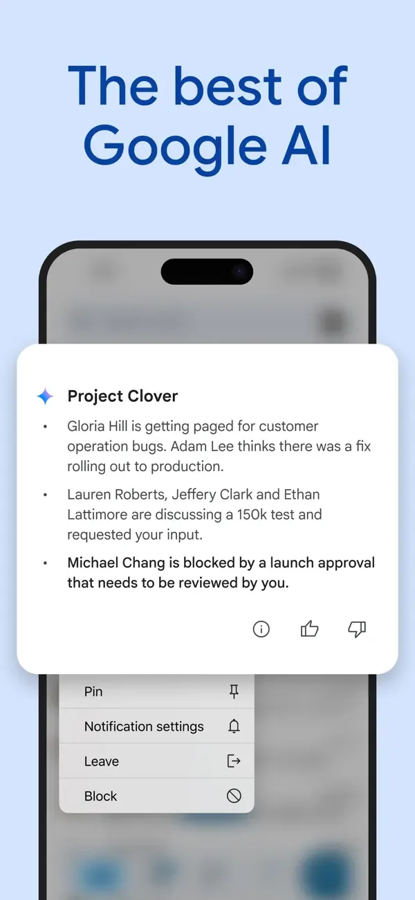Google Chat screenshot 2