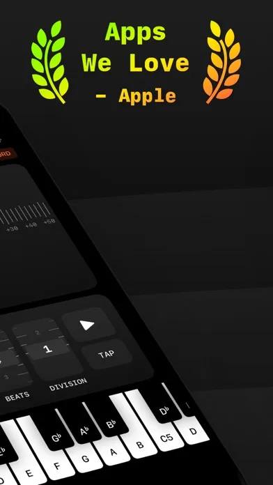 Pitch Pro Tuner & Metronome screenshot 2
