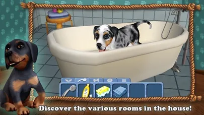 DogWorld - My Puppy screenshot 5