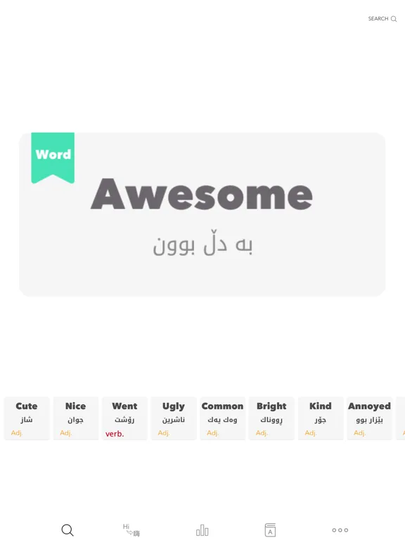 Kurdish Dictionary - iDict screenshot 5
