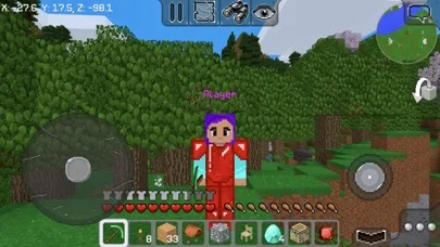 MultiCraft — Build and Mine! screenshot 2