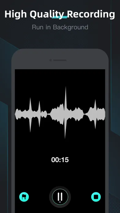 Voice Recorder, Audio Memos screenshot 1