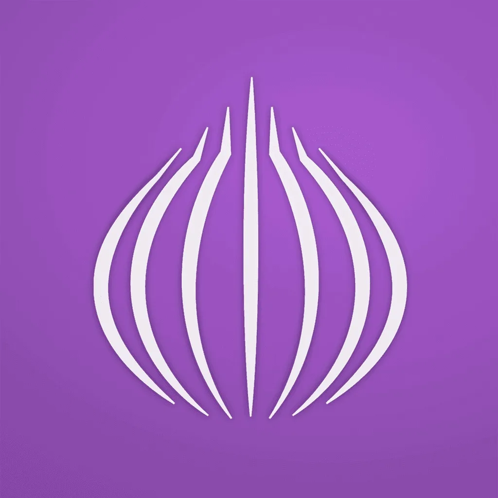 TOR Browser: OrNET Onion + VPN