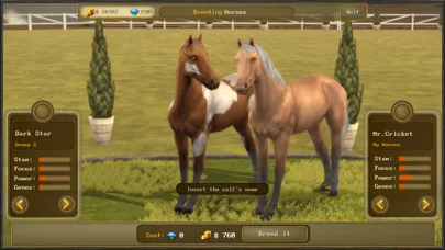 Jumping Horses Champions 3 screenshot 4