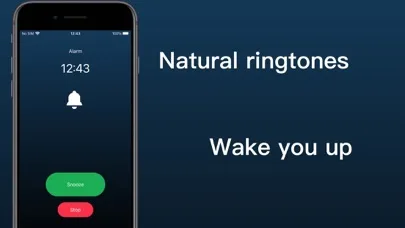 Flip Clock Pro - time widgets screenshot 5