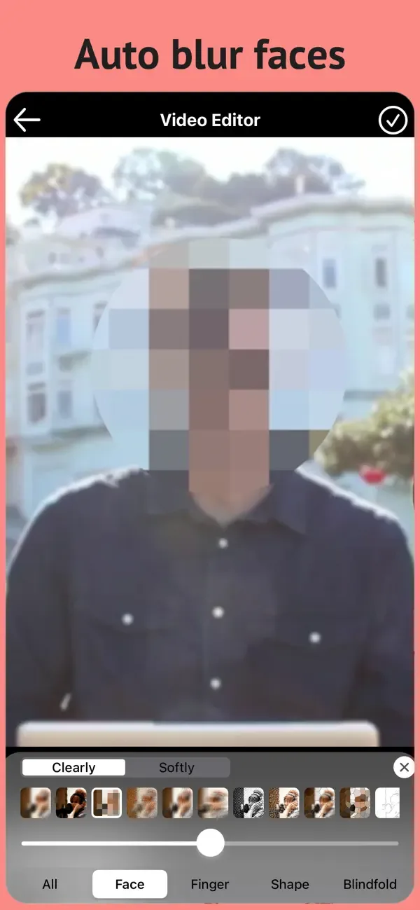 Blur Video & Mosaic screenshot 2