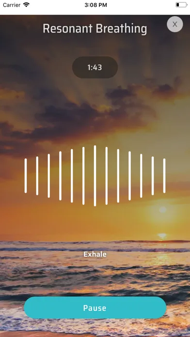 Total Brain screenshot 2