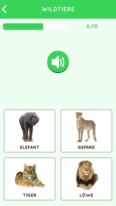 Learn German Beginners Easily screenshot 2