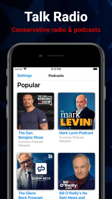 Conservative Talk Radio screenshot 1