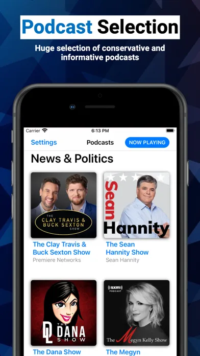Conservative Talk Radio screenshot 5