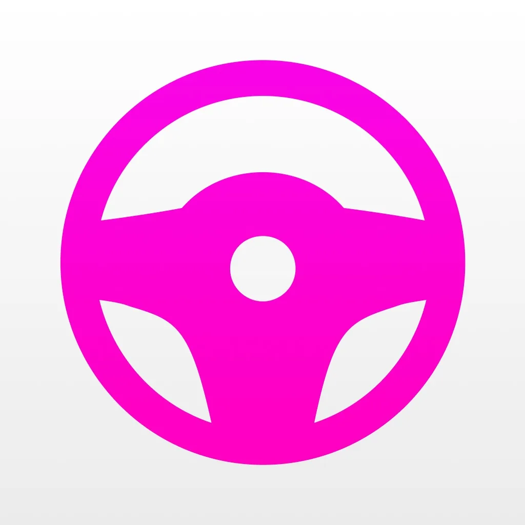 Lyft Driver