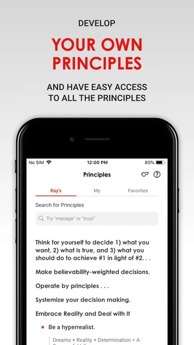 Principles In Action screenshot 3