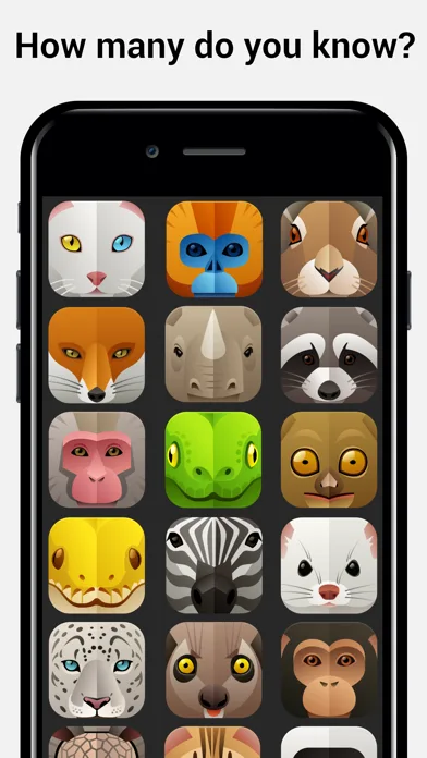 Name the Animal Head Quiz screenshot 2