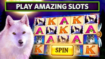 Slots on Tour - Wild HD Casino screenshot 1