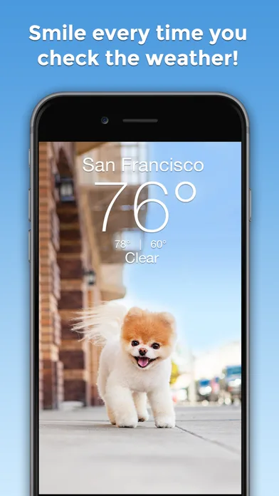 Boo Weather: Pomeranian Puppy screenshot 1