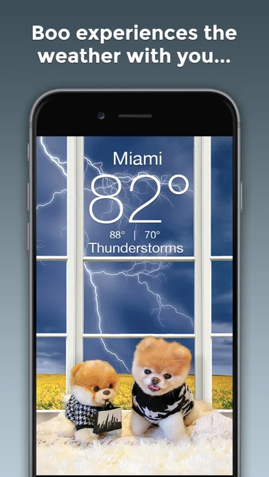 Boo Weather: Pomeranian Puppy screenshot 2