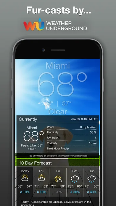 Boo Weather: Pomeranian Puppy screenshot 4