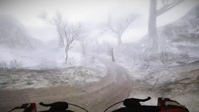 Mtb DownHill Bike: Multiplayer screenshot 4
