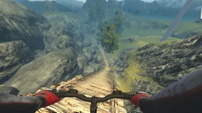 Mtb DownHill Bike: Multiplayer screenshot 5