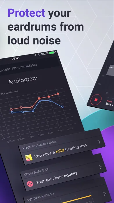 Decibel : dB sound level meter screenshot 3