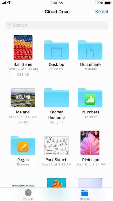 Files screenshot 2
