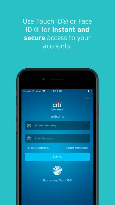 CitiManager – Corporate Cards screenshot 3