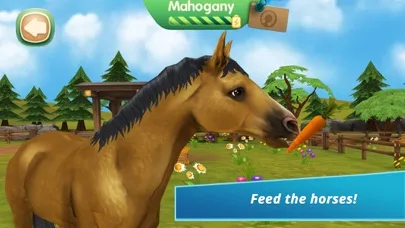 Horse Hotel - care for horses screenshot 5