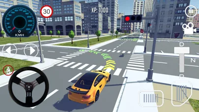 Driving School Simulator 3D screenshot 4