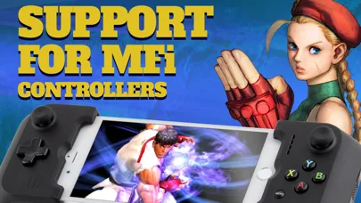 Street Fighter IV CE screenshot 5