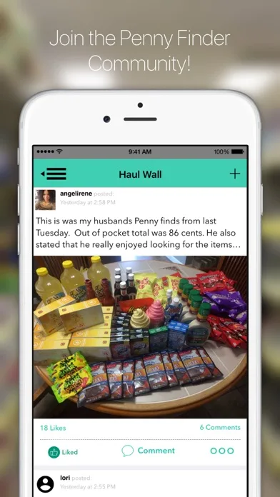 Penny Finder screenshot 2