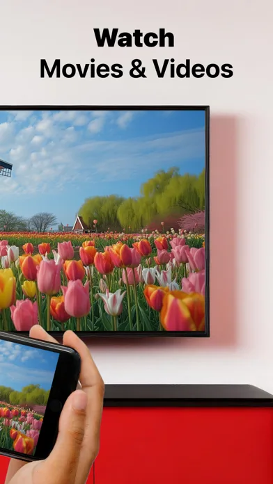 Screen Mirroring Samsung TV screenshot 2