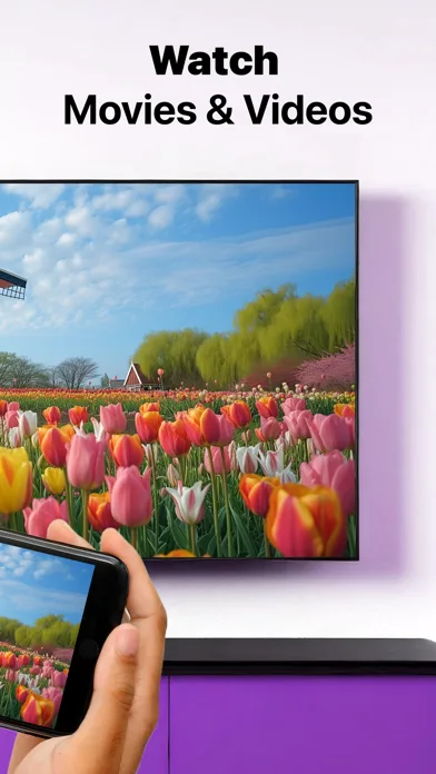 Sony TV Screen Mirroring Cast screenshot 2