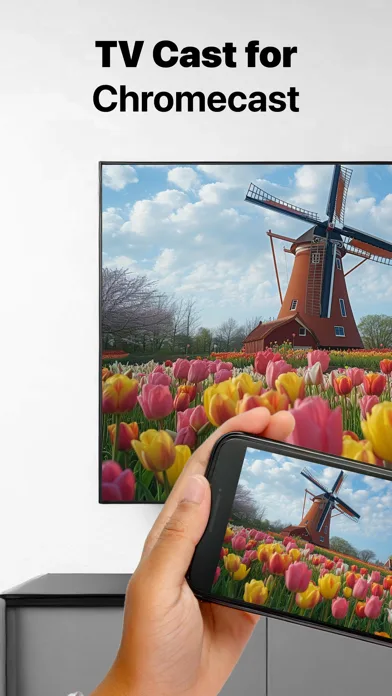 Mirror for Chromecast app screenshot 1